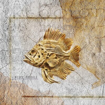 pesce fossile